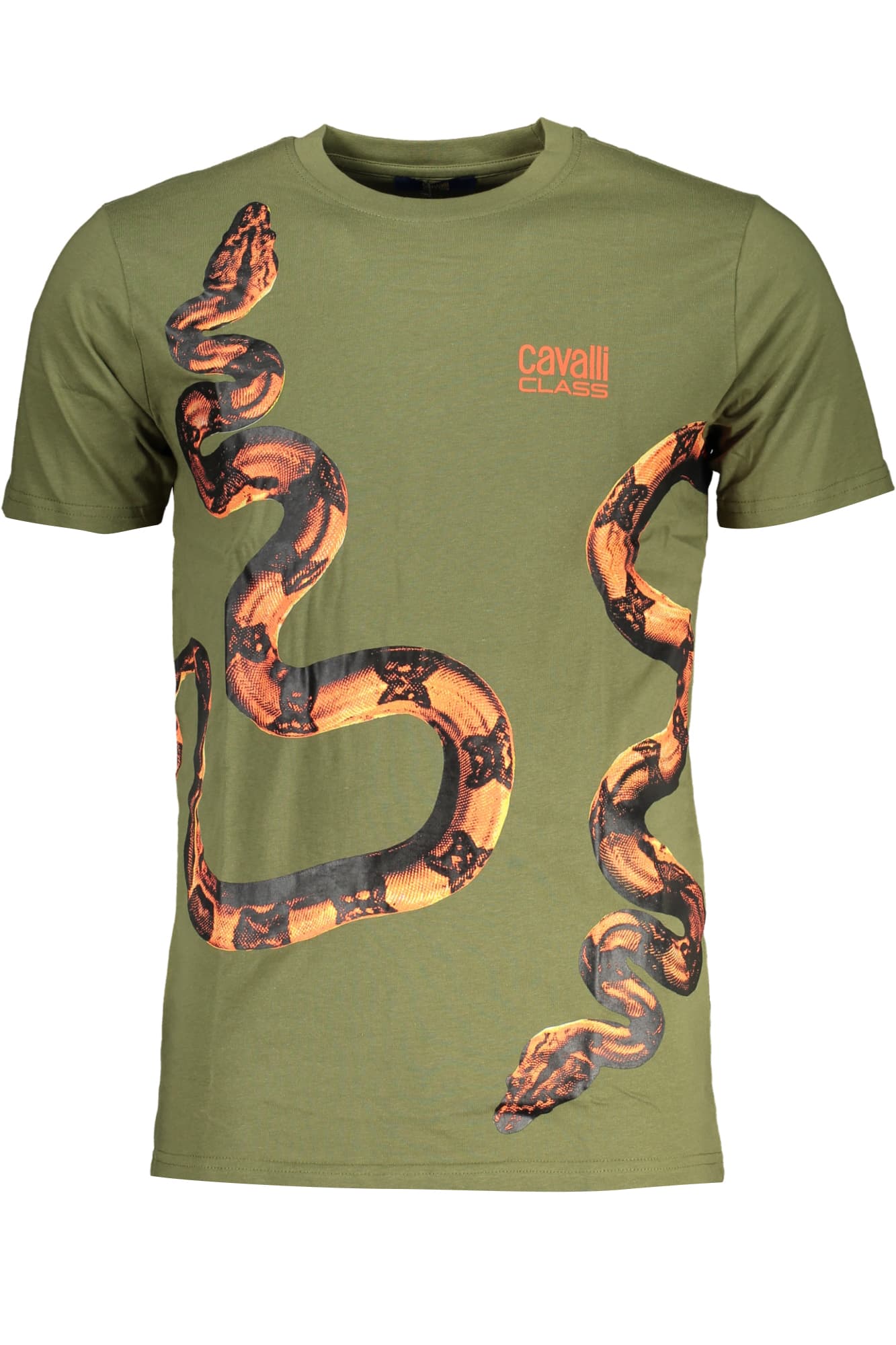 CAVALLI CLASS Herren T-Shirt in Grün
