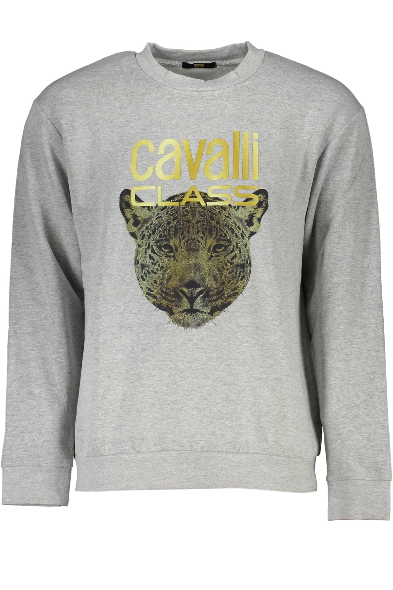 CAVALLI CLASS Herren Sweatshirt in Grau