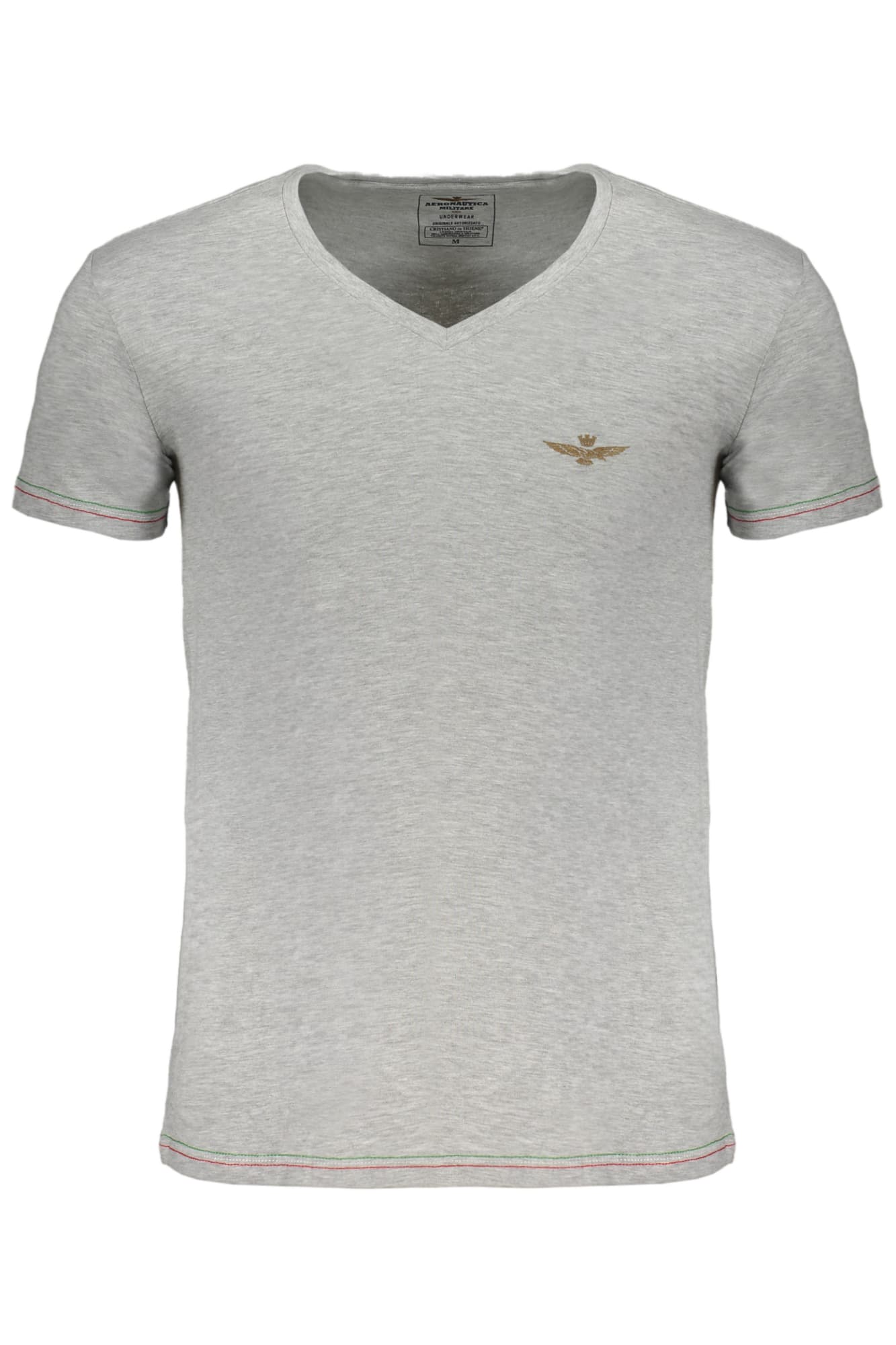AERONAUTICA MILITARE Herren T-Shirt in Grau