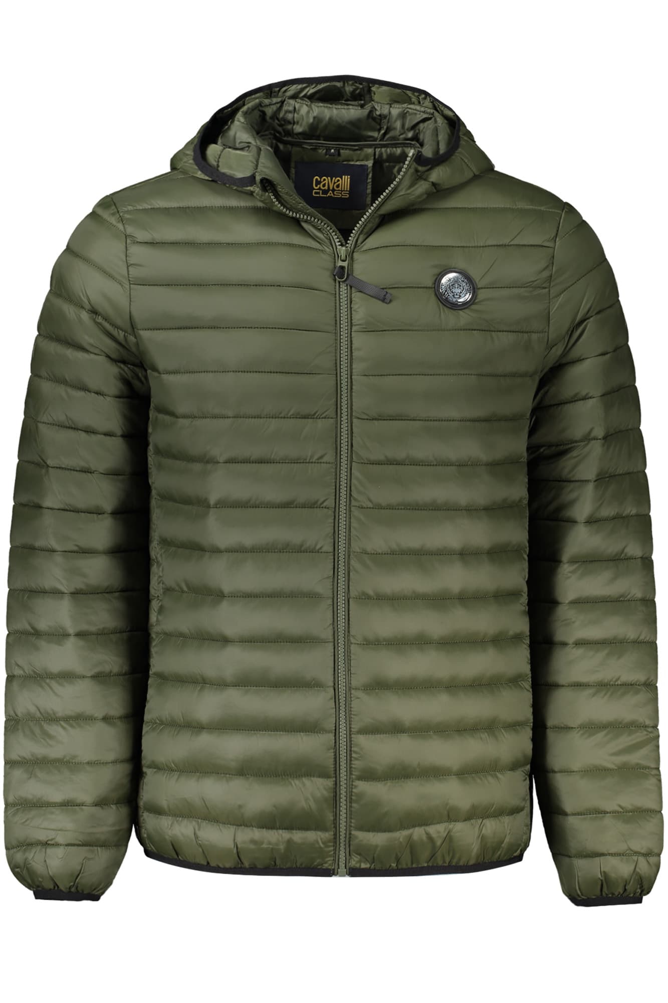 CAVALLI CLASS Herren Jacke in Grün