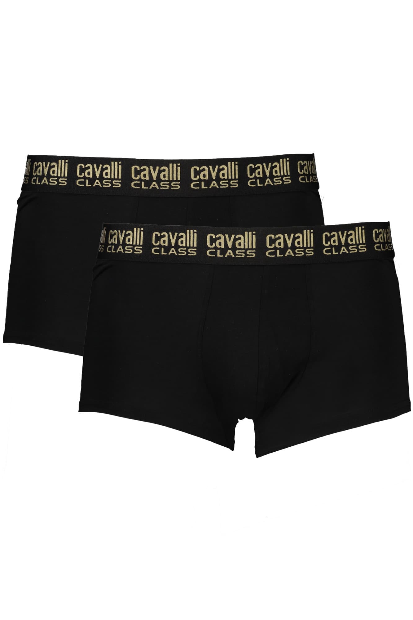 CAVALLI CLASS Herren Shorts in Schwarz