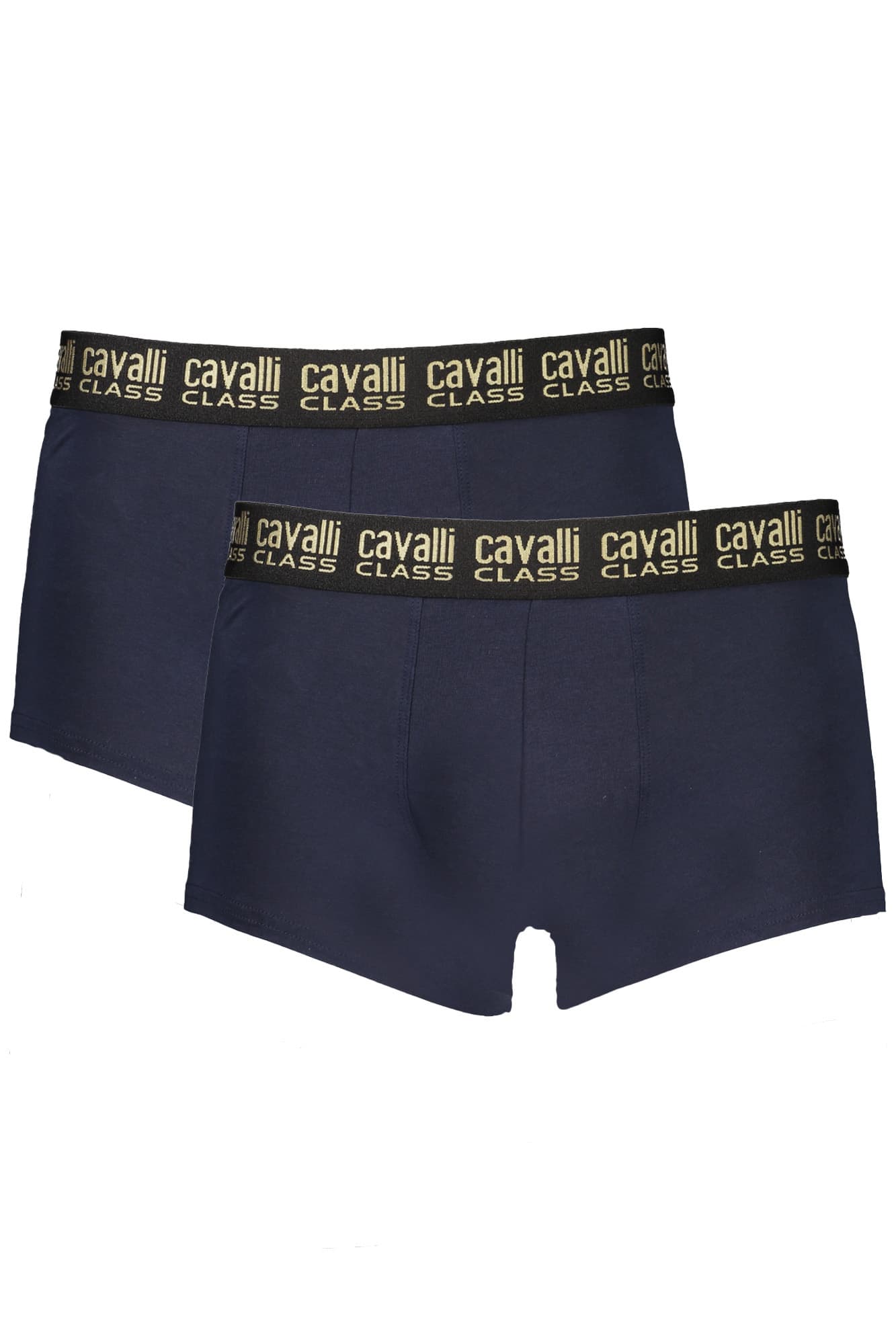 CAVALLI CLASS Herren Shorts in Blau