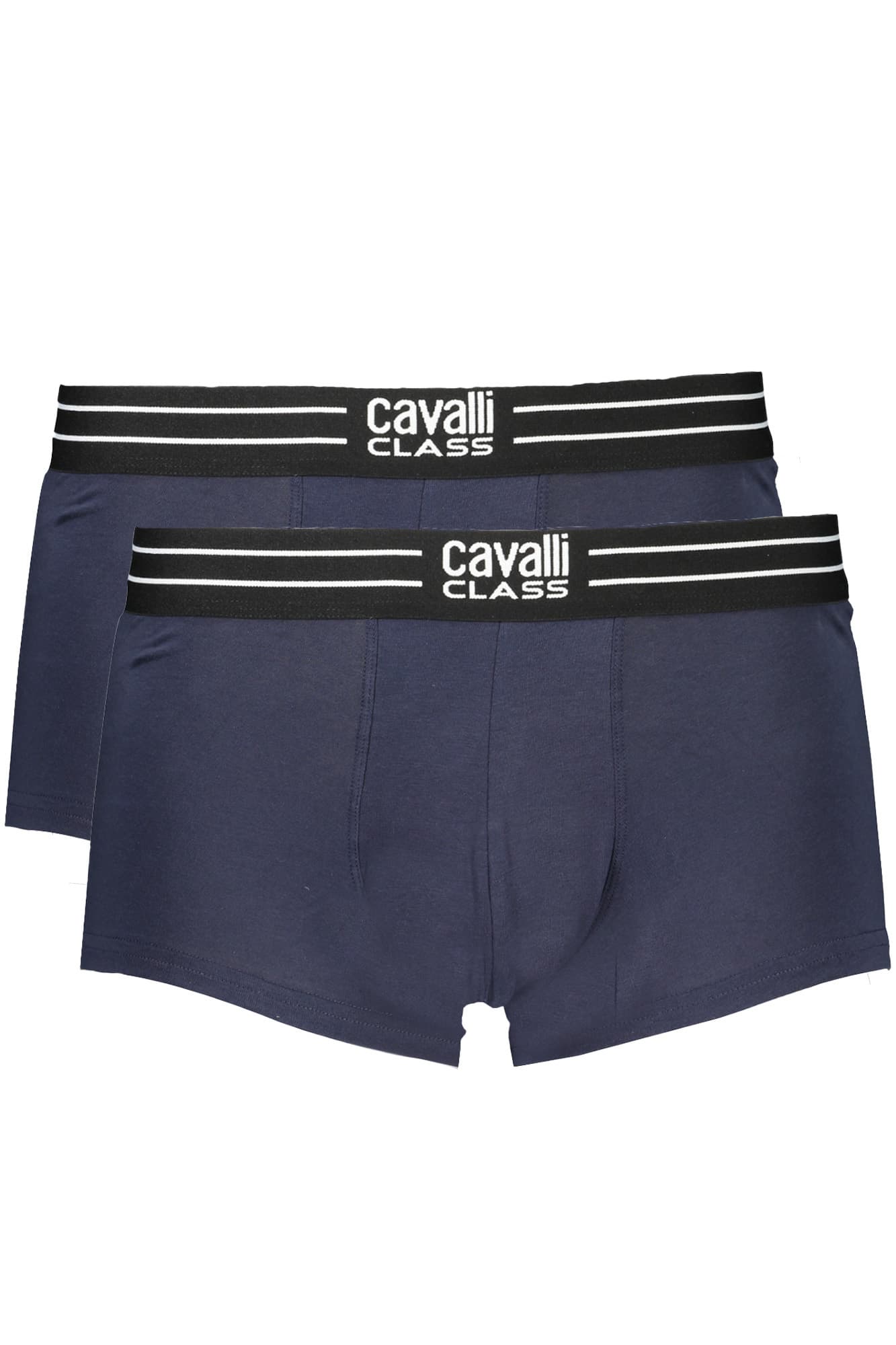 CAVALLI CLASS Herren Shorts in Blau