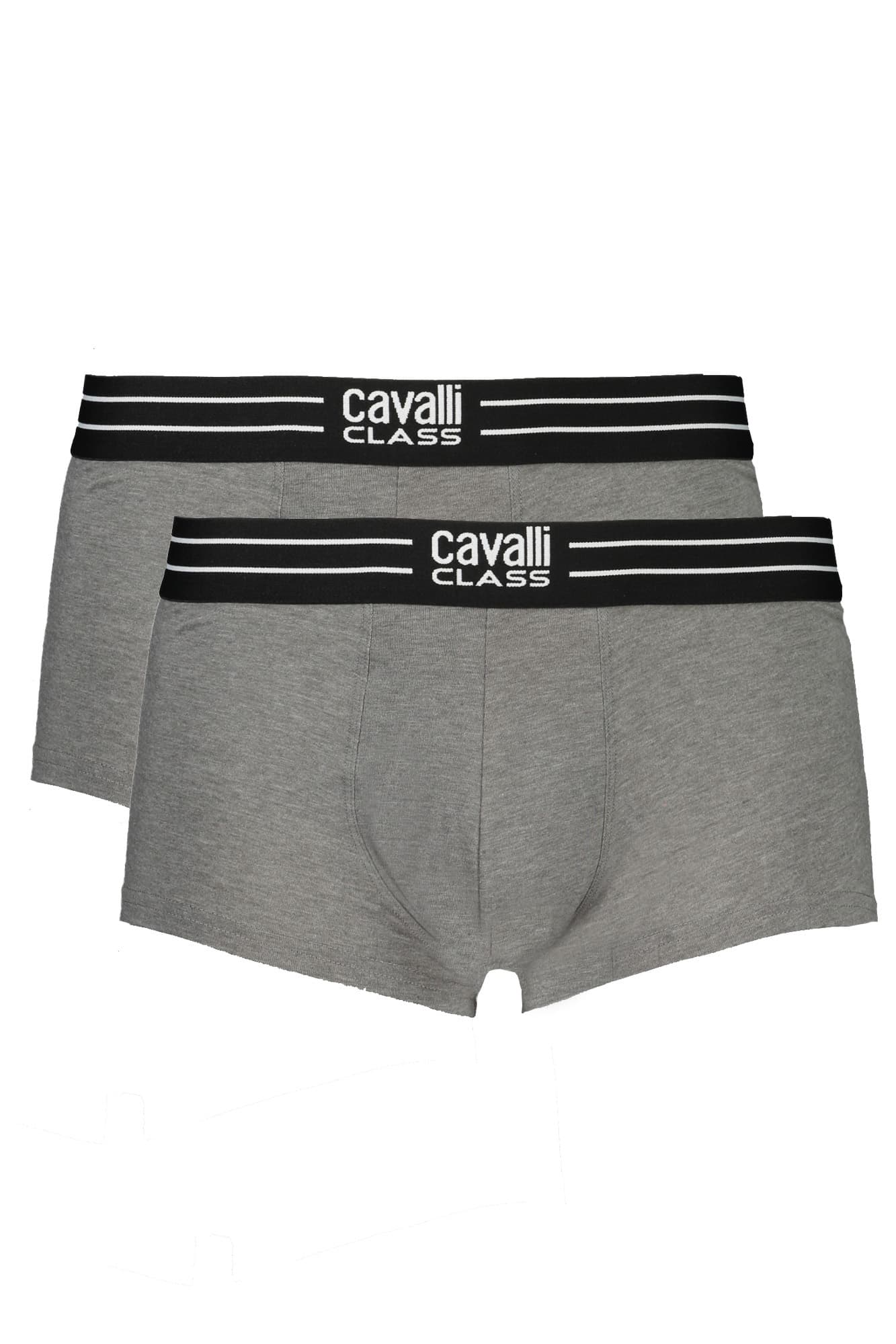 CAVALLI CLASS Herren Shorts in Grau