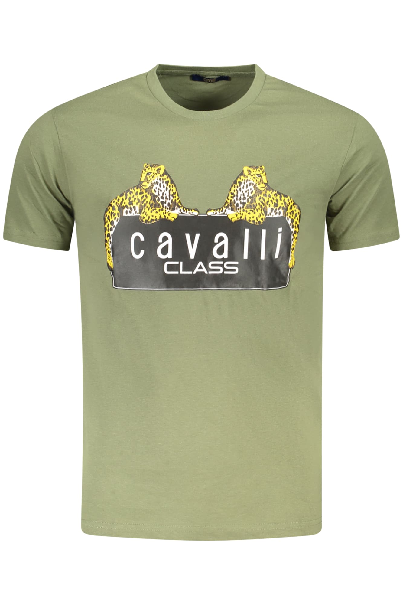 CAVALLI CLASS Herren T-Shirt in Grün