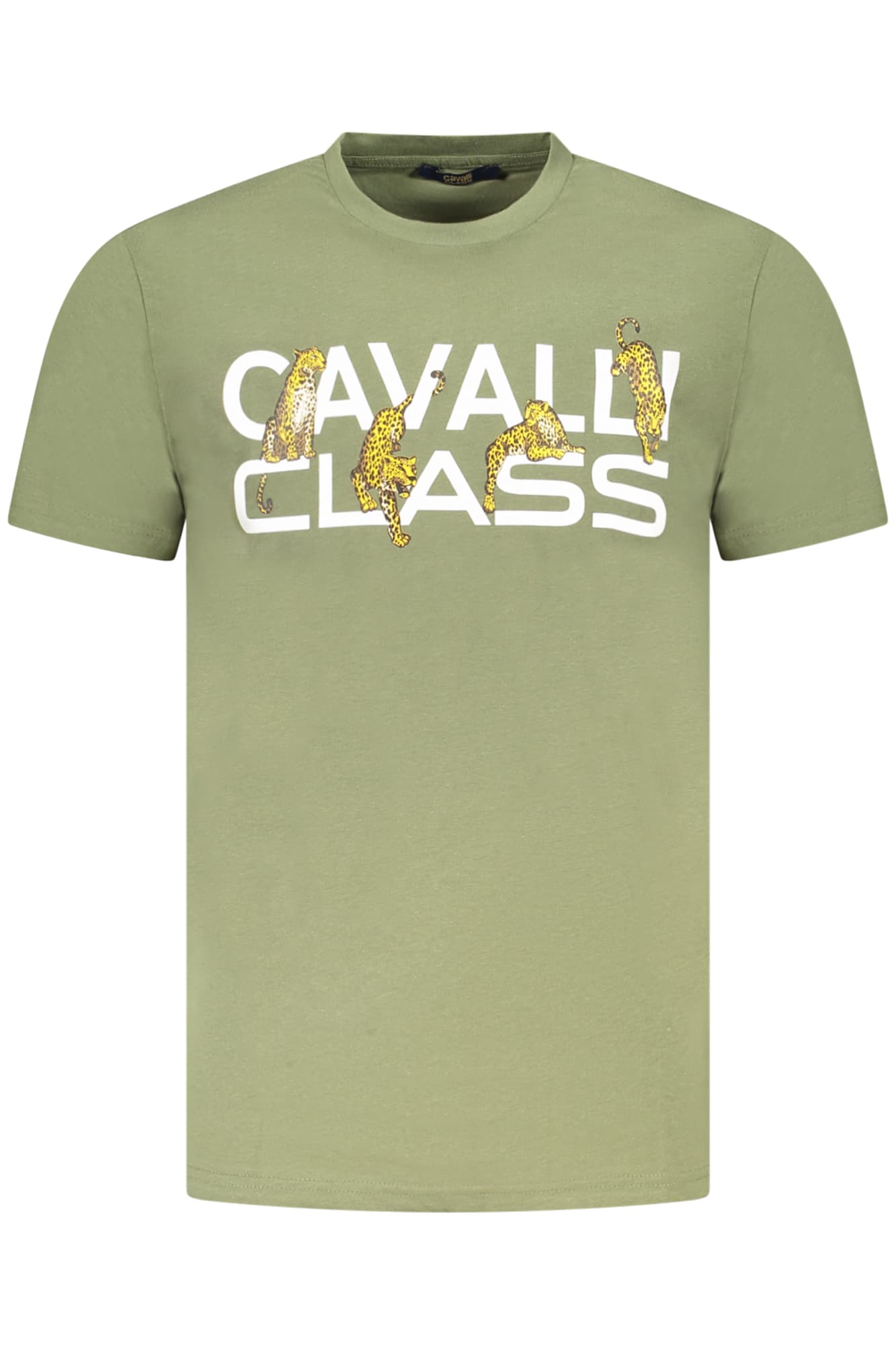 CAVALLI CLASS Herren T-Shirt in Grün