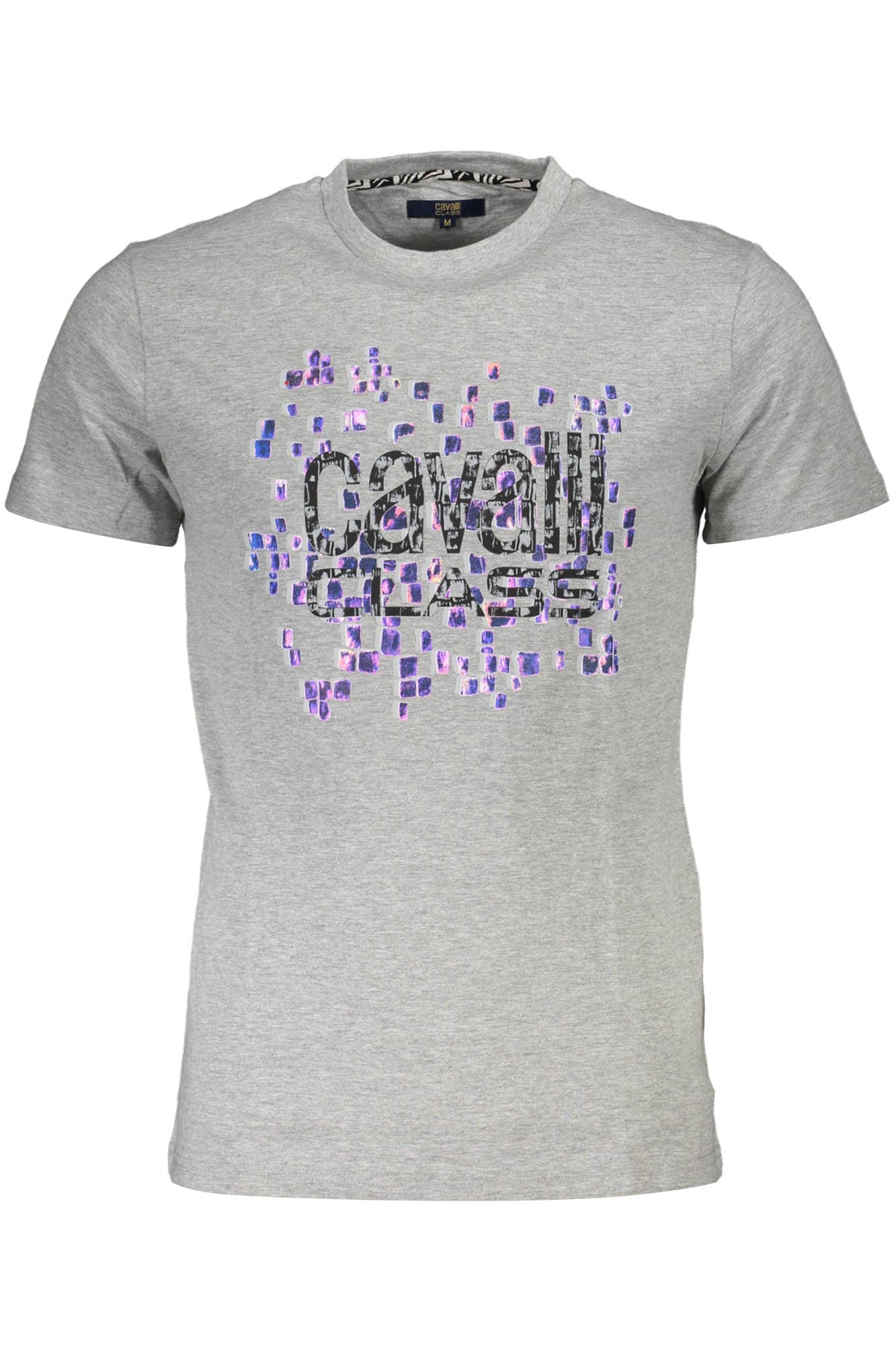 CAVALLI CLASS Herren T-Shirt in Grau