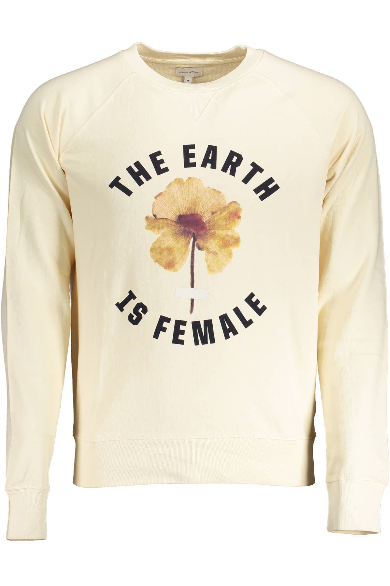 GANT Herren Sweatshirt in Beige