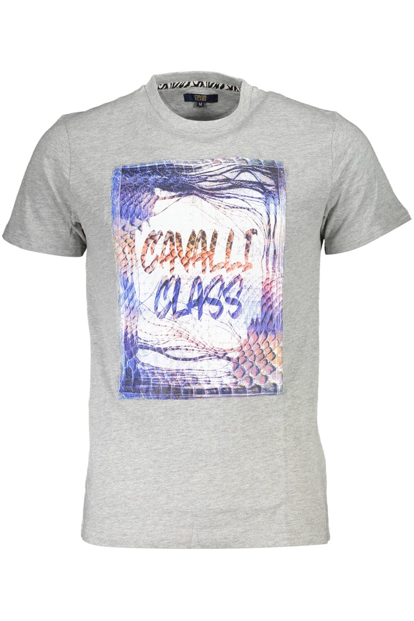CAVALLI CLASS Herren T-Shirt in Grau