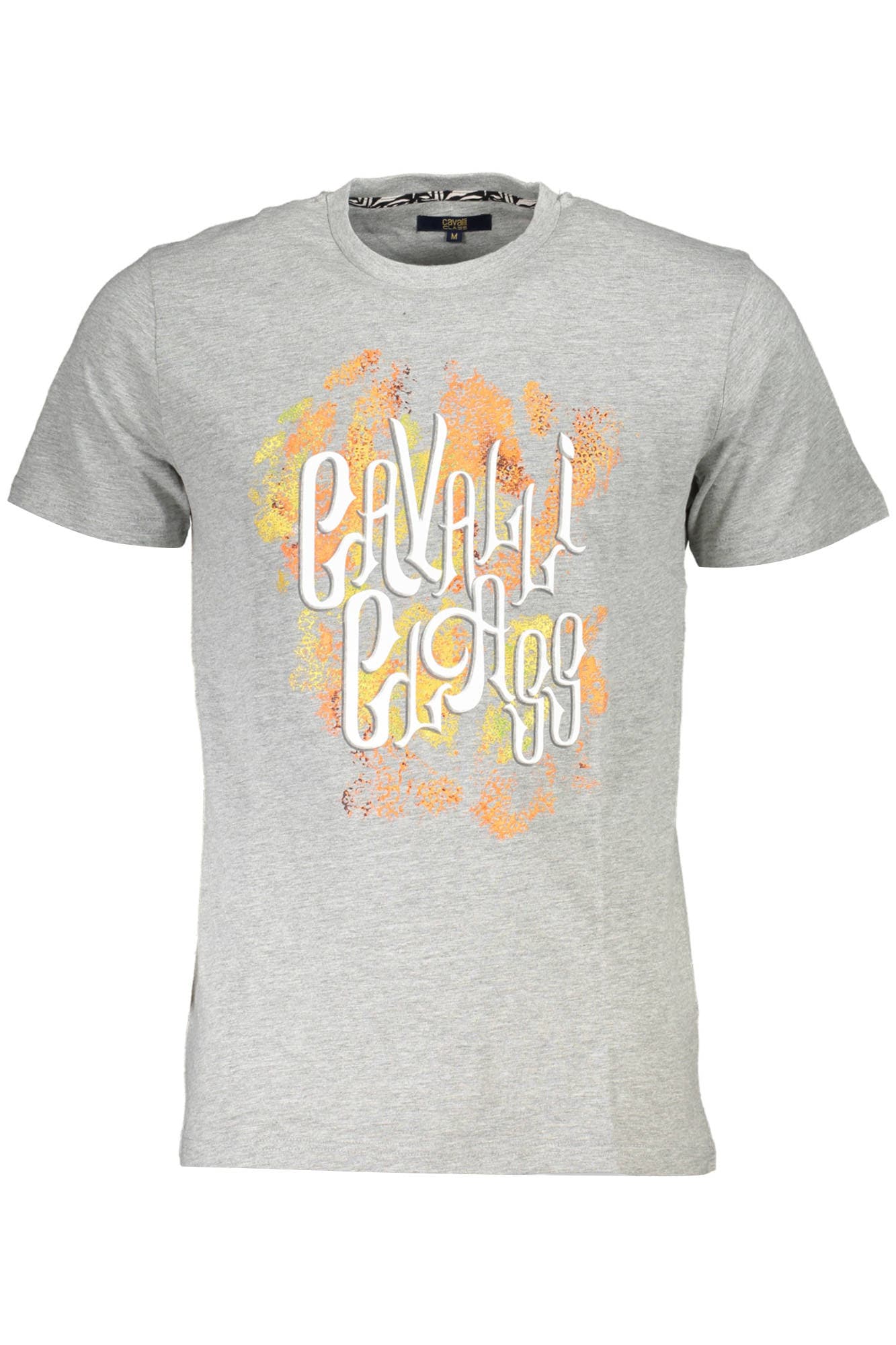 CAVALLI CLASS Herren T-Shirt in Grau