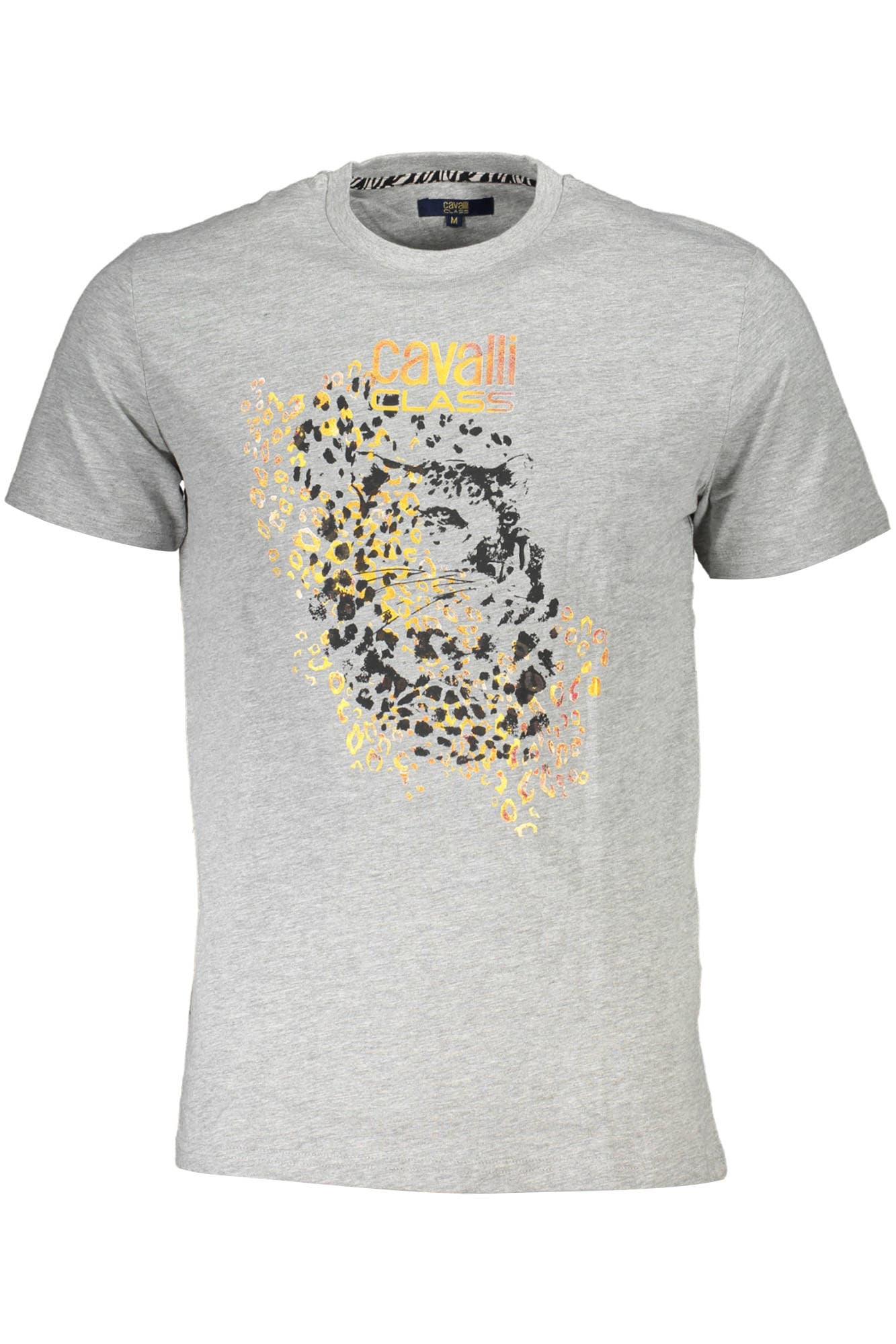 CAVALLI CLASS Herren T-Shirt in Grau
