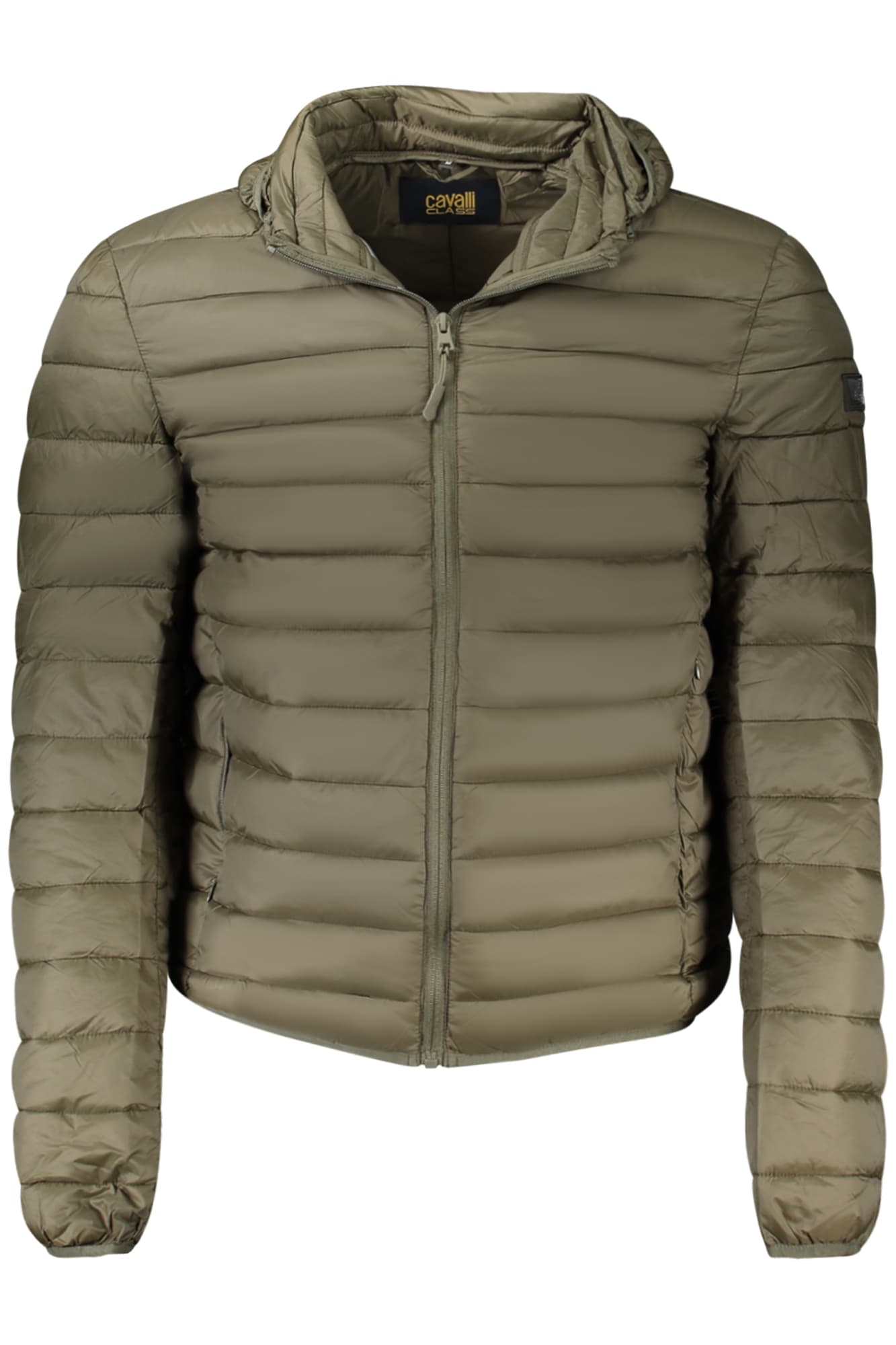 CAVALLI CLASS Herren Jacke in Grün