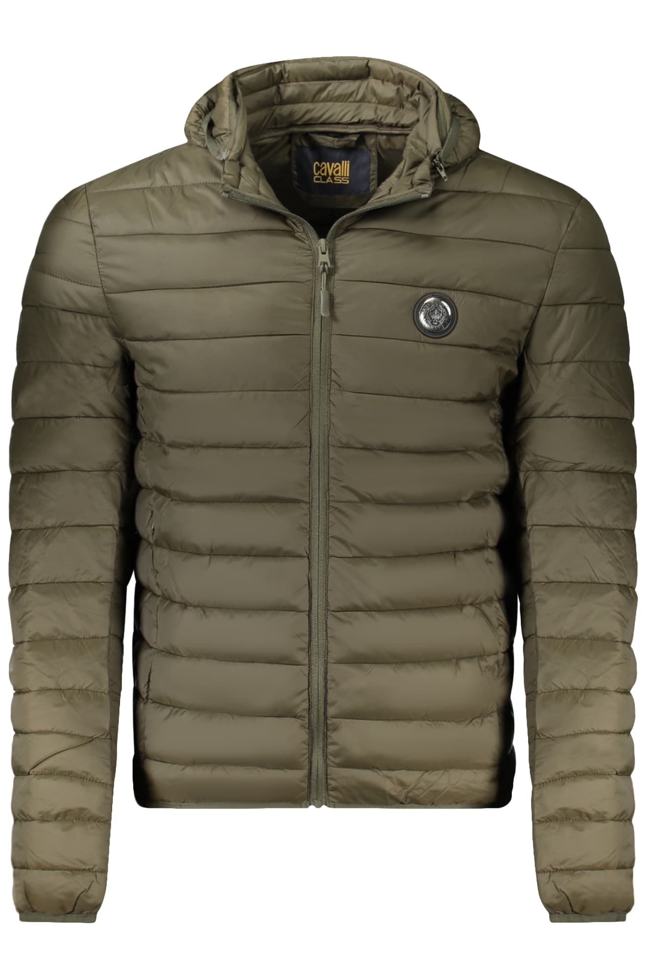 CAVALLI CLASS Herren Jacke in Grün