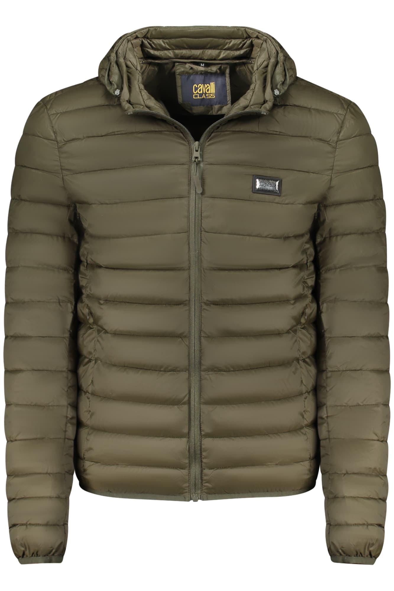 CAVALLI CLASS Herren Jacke in Grün