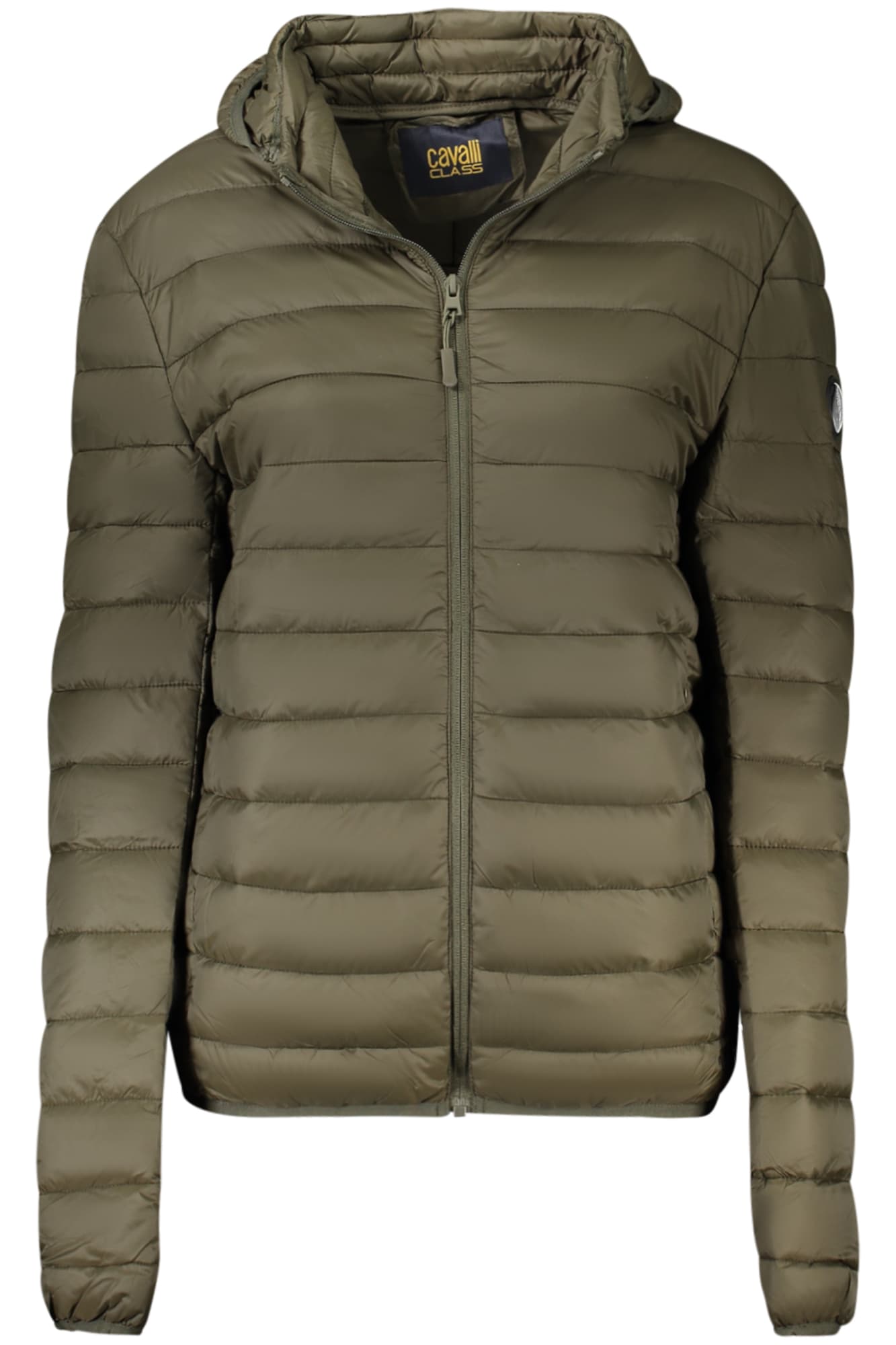 CAVALLI CLASS Herren Jacke in Grün