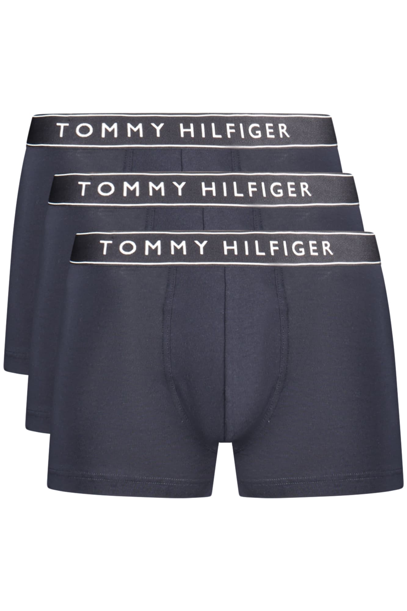 Tommy Hilfiger Herren Shorts in Blau