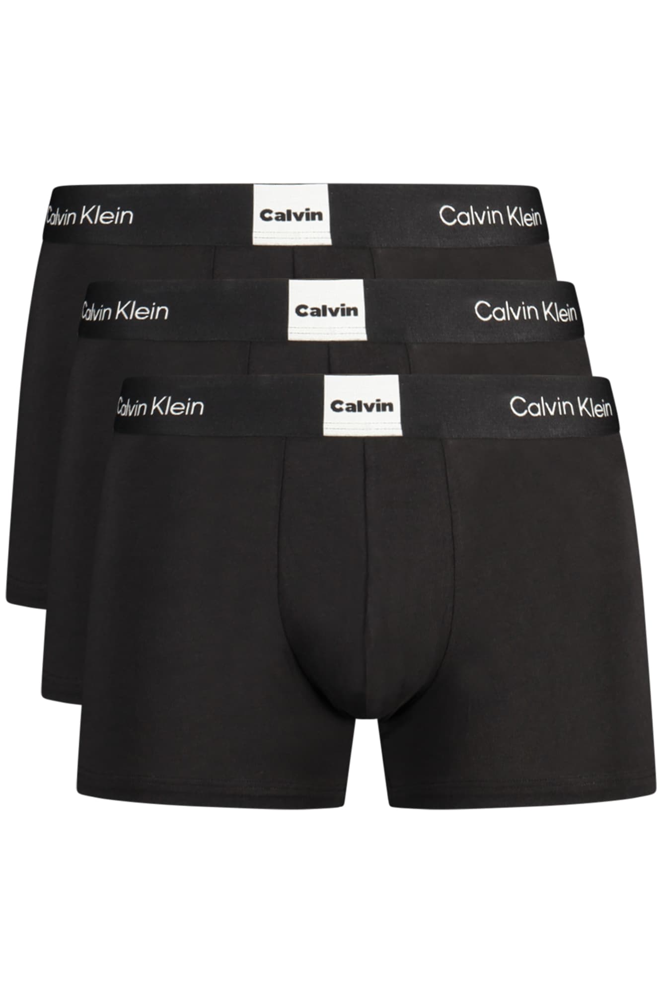 Calvin Klein Herren Shorts in Schwarz