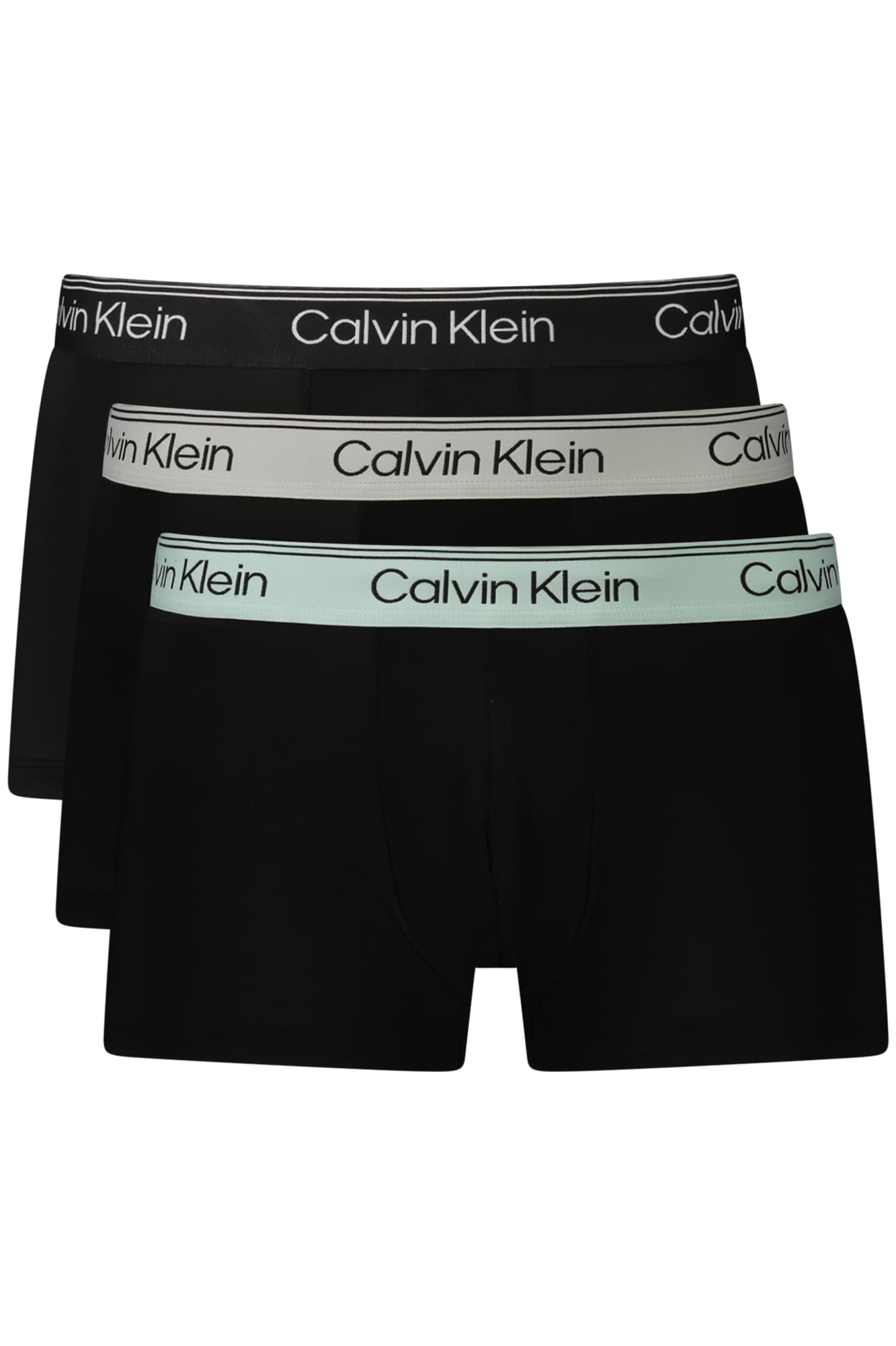 Calvin Klein Herren Shorts in Schwarz