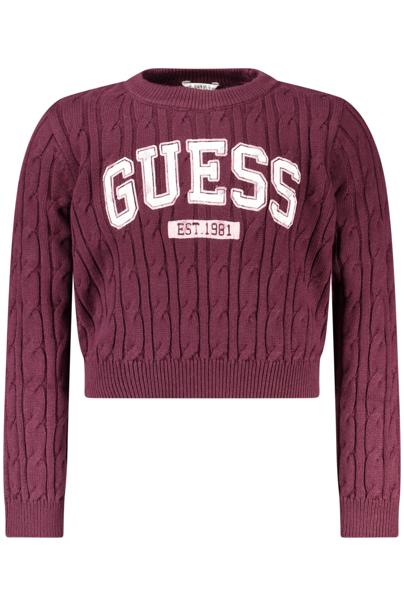 GUESS JEANS Herren Jeans in Lila